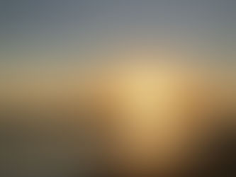 Issue No. 6 (January 12, 2022) メラトニン