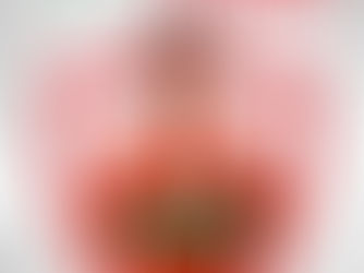 Fernando Henrique é o novo volante da Portuguesa SAF