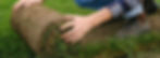 IMG_1453.jpeg