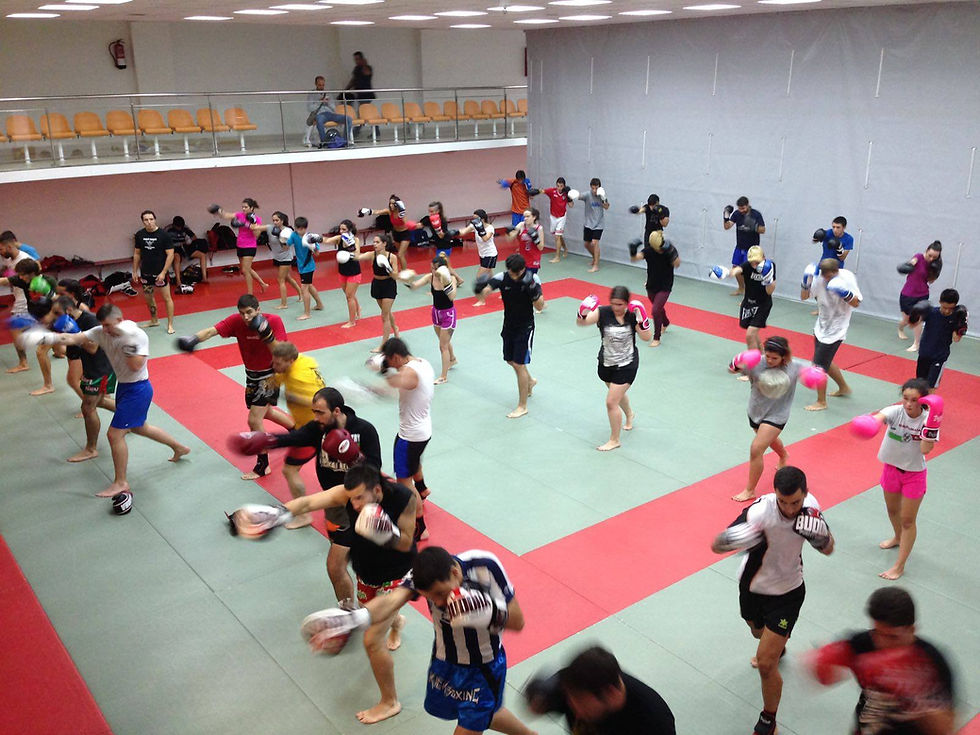Kuraia Fight Club