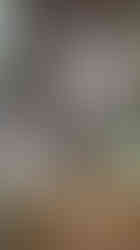 WhatsApp Image 2025-06-10 at 15.45.21 (2)