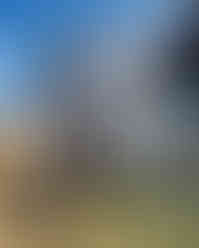 WhatsApp Image 2025-06-10 at 15.47.16