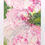 Thumbnail: Pink spring