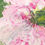 Thumbnail: Pink spring