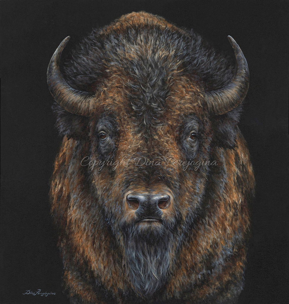 Thumbnail: 'Bison Presence'