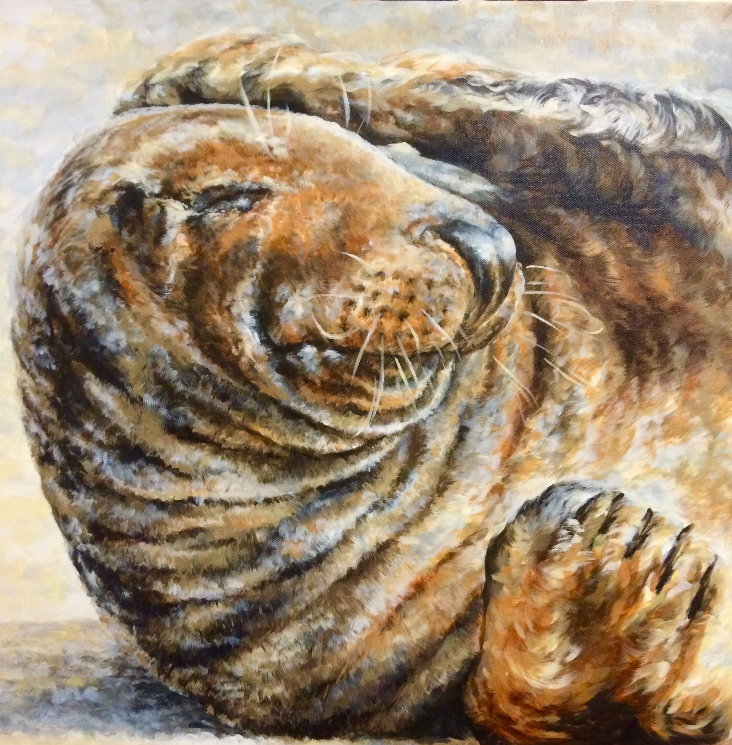 'Basking Seal'