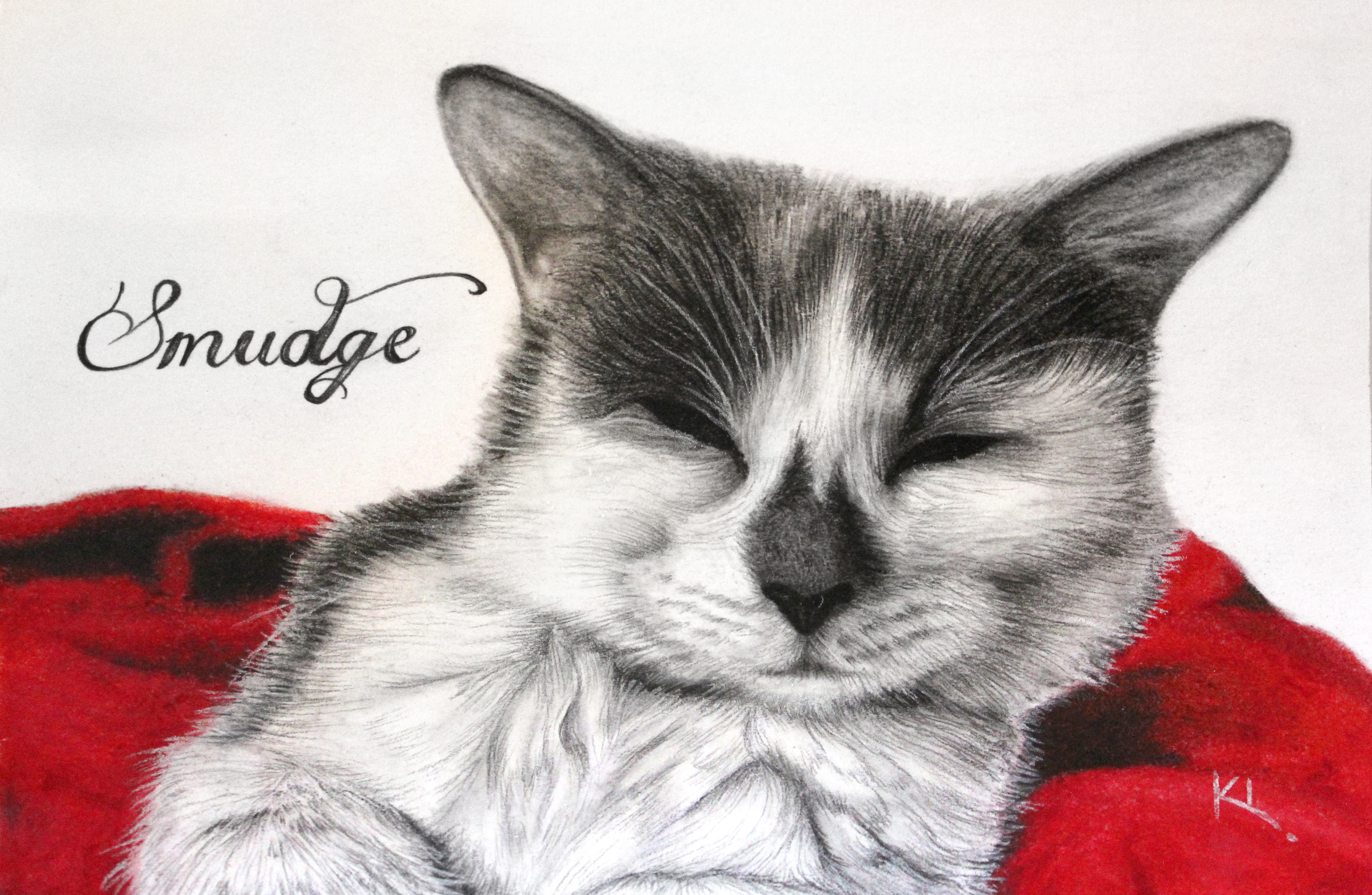 'Smudge'