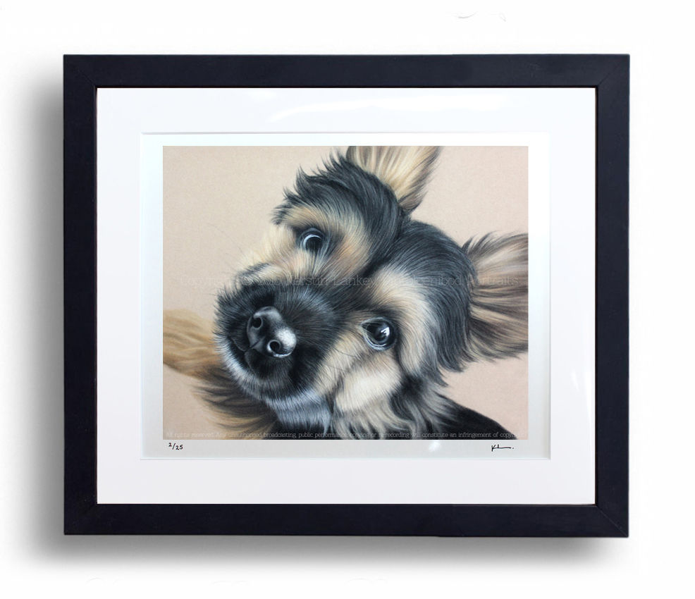 Limited Edition Signed Giclée Print Yorkie Pup