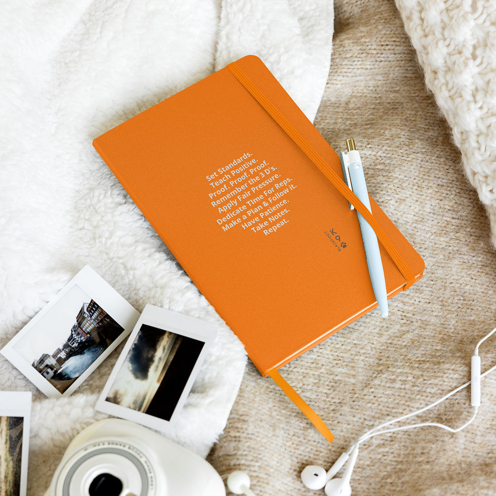 Thumbnail: Training Notebook