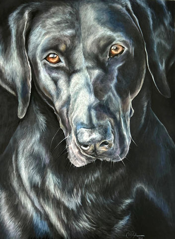 A close up painting of a Black Labrador Retriever.