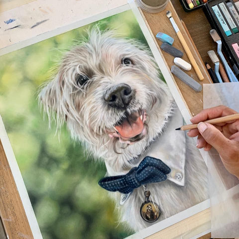 Custom Pet portrait hand painted by artist in pastel of a jack russell terrier