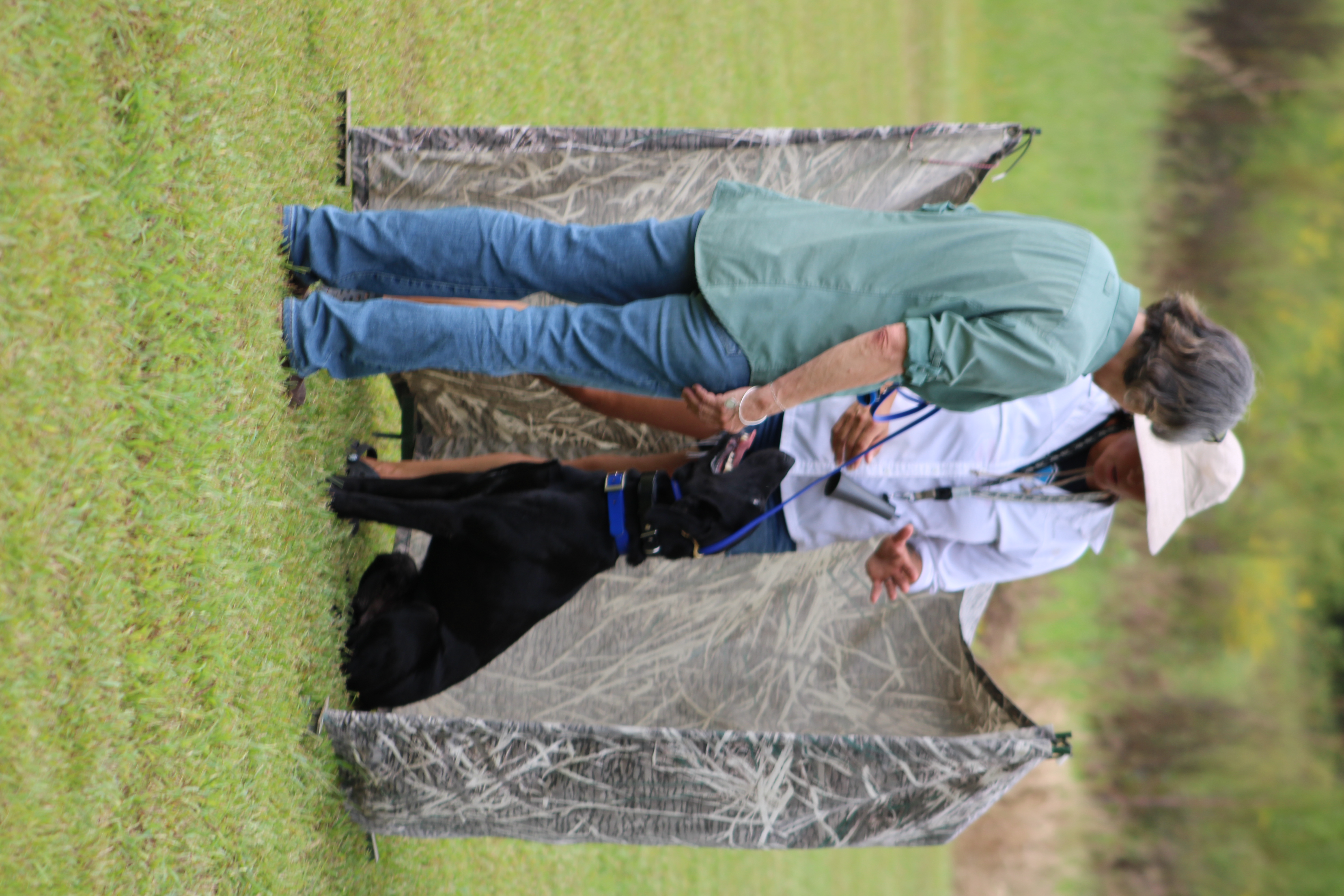 Field practice session