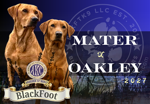 Mater X Oakley.png