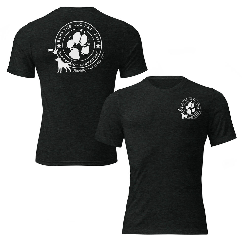 Thumbnail: Classic BF Labrador Tee