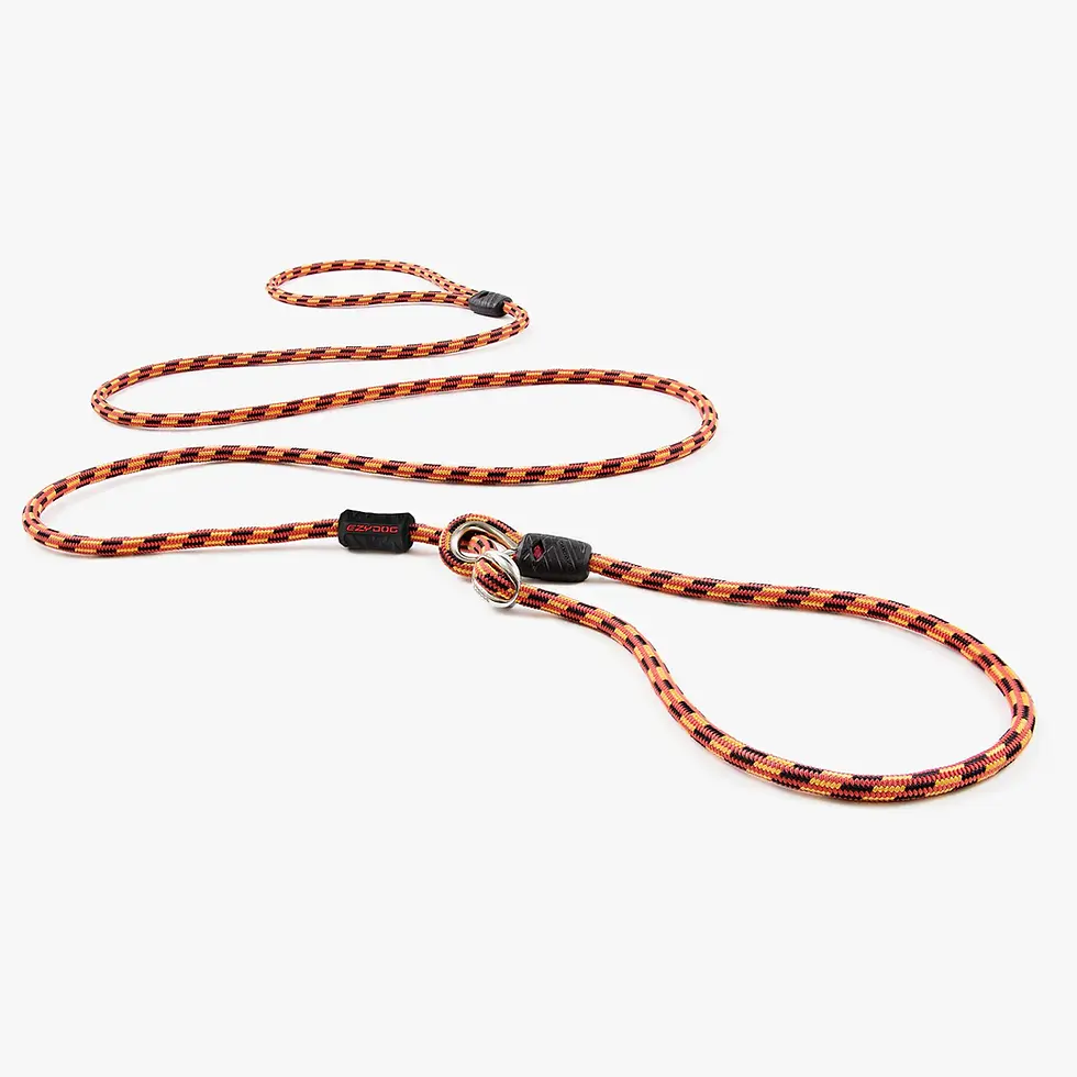 Thumbnail: The EzyDog Luca Slip Lead Leash is a premium slip lead for dogs, designed for training, control, and everyday walks.