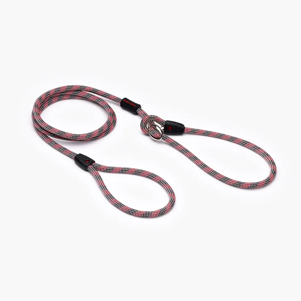 Thumbnail: The EzyDog Luca Slip Lead Leash is a premium slip lead for dogs, designed for training, control, and everyday walks.