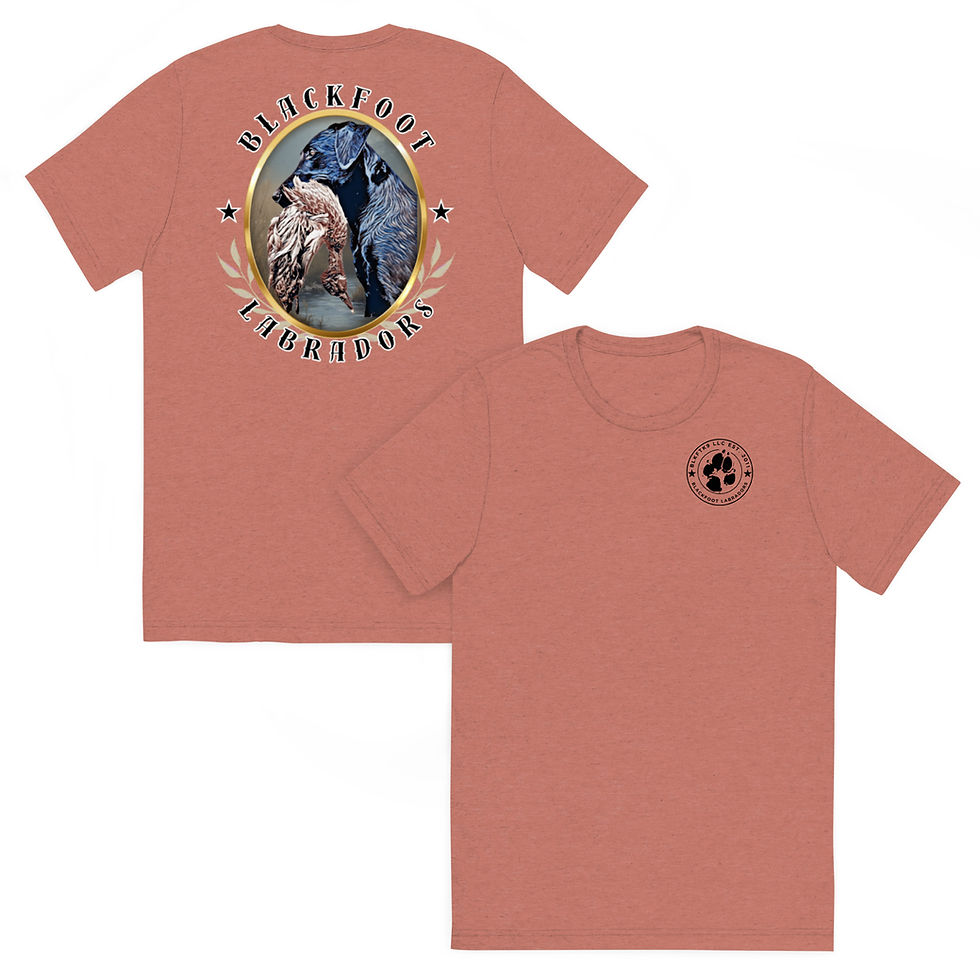 Thumbnail: Heavy-D Short Sleeve T