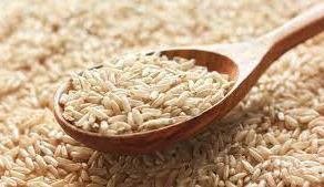 Comunidades Sostenedoras Agrícolas CSA