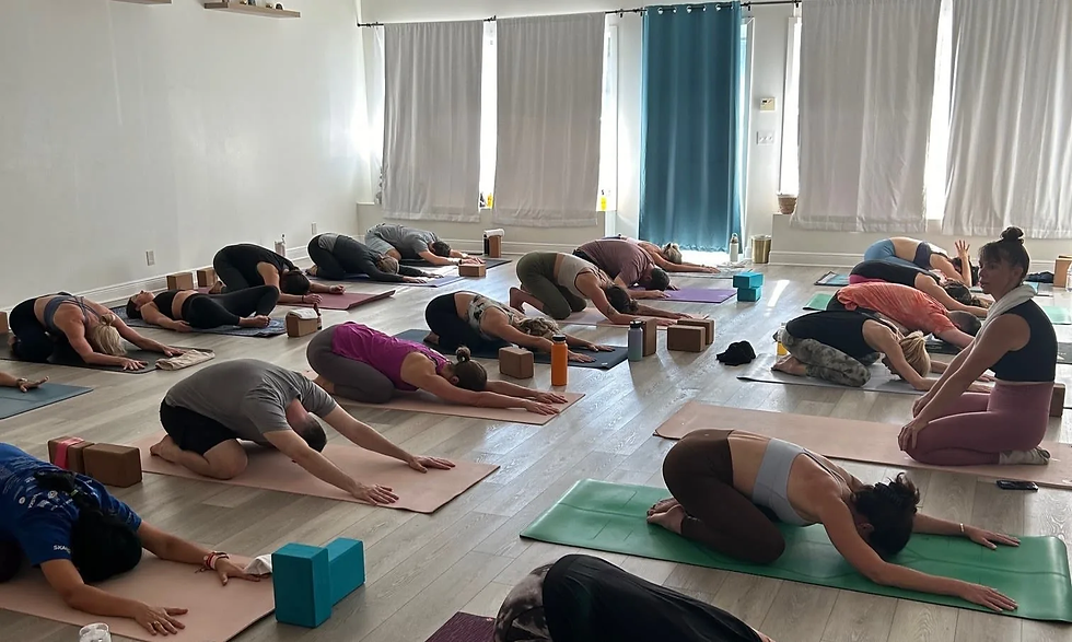 People in a yoga class perform child's pose on mats, surrounded by blocks in a bright room with curtains. Calm atmosphere.