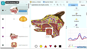 Screenshot 2025-09-16 174557.png