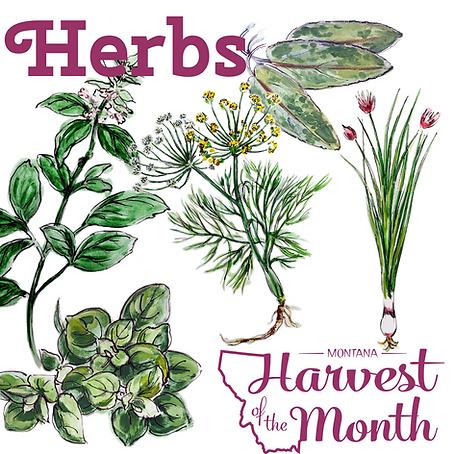 September Herbs HOM.png