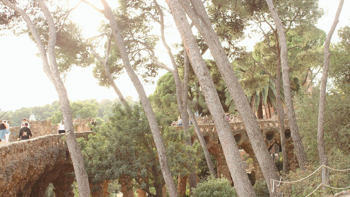 header2.jpg