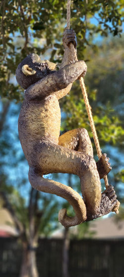 311275864_134480459345961_4755288637958602638_n