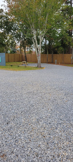 314069112_140452245415449_6552853718104442966_n