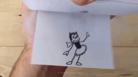 convert-video-to-flipbook.gif