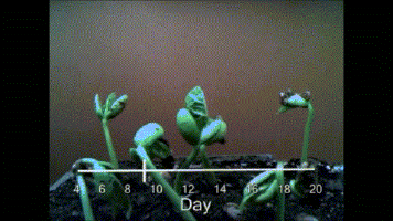 b55e7ecd5bb8d2cd7968264233494fbd.gif