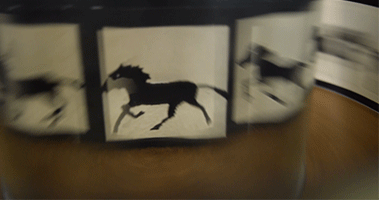horses1.gif