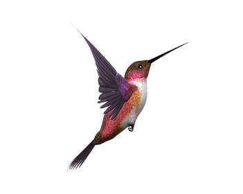 unnamed (2).png