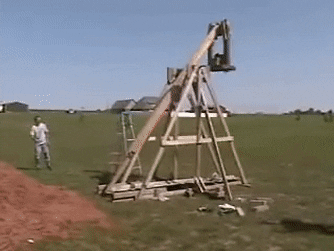 ChiefOptimalFlea-small.gif