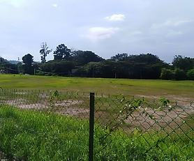 PENANG  DEVELOPMENT LAND