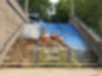 State Fair Grounds Vinyl Graphics on Face of Steps