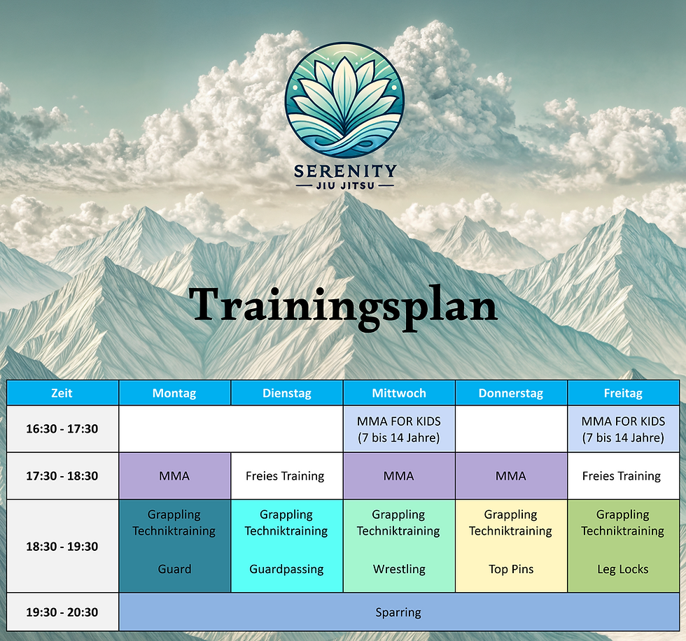 Trainingsplan3MMA_WebsiteCut.png
