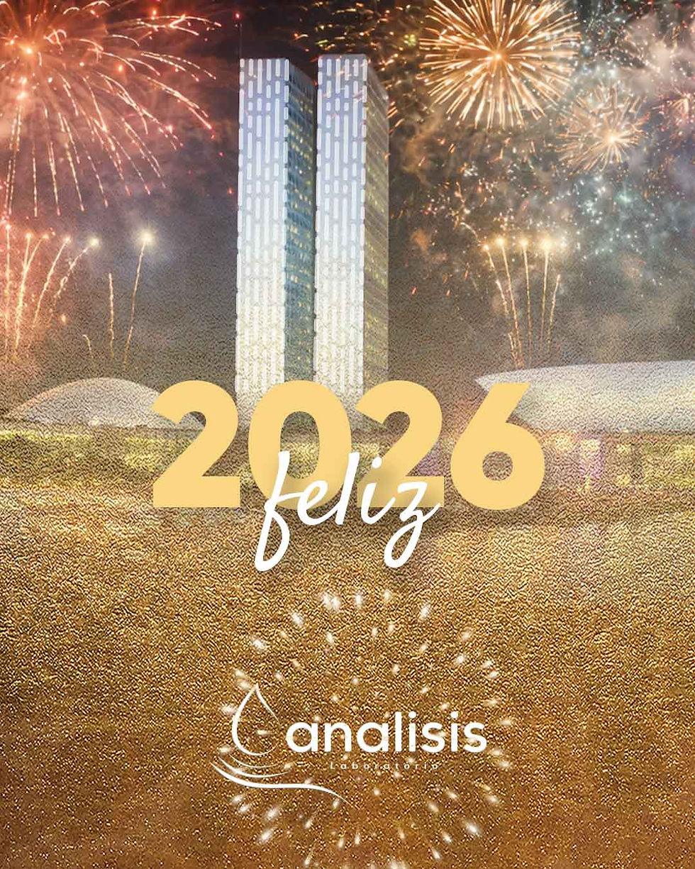 Feliz Ano Novo! Bem-vindo, 2026!
