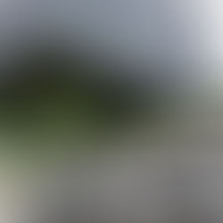 Garantia de crédito do BNDES para pequena empresa deve entrar em operação em julho