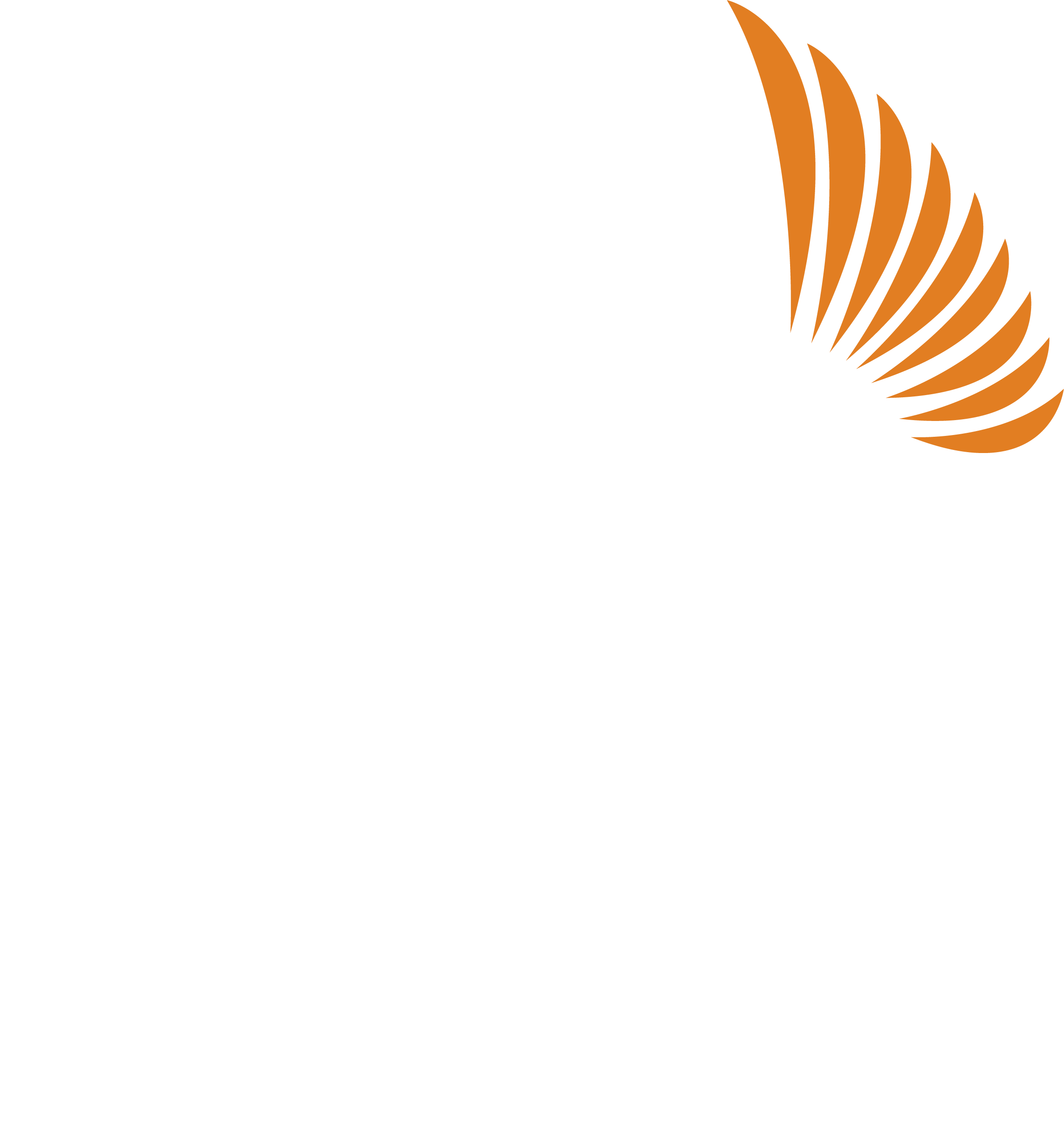 Clínica CISAtivo 1fundo verde.png