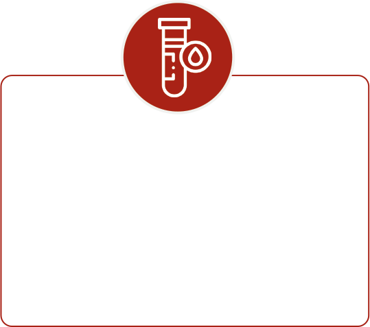 lab analisis elemento de design4.png