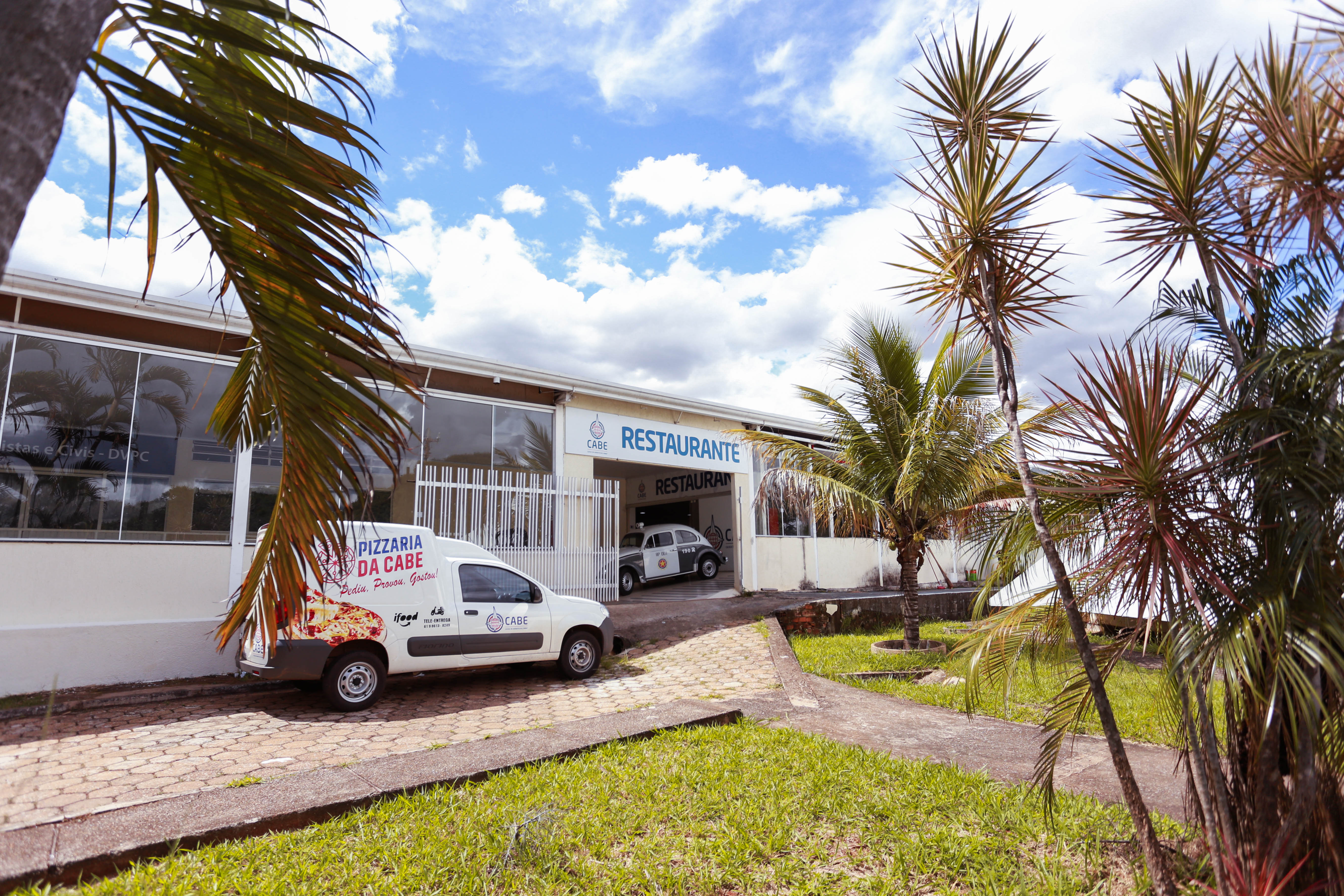 Arranged Food and Objects