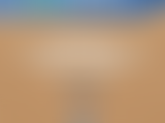 Fotos do Seminário "Reciclagem: Geração de Riquezas para o Brasil"