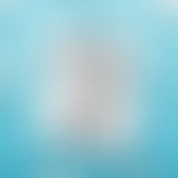 Feriado ou Ponto Facultativo?