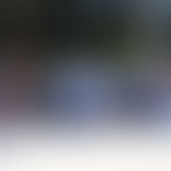 PMDF comemora 26 anos da implantação do respeito à faixa de pedestre no Distrito Federal