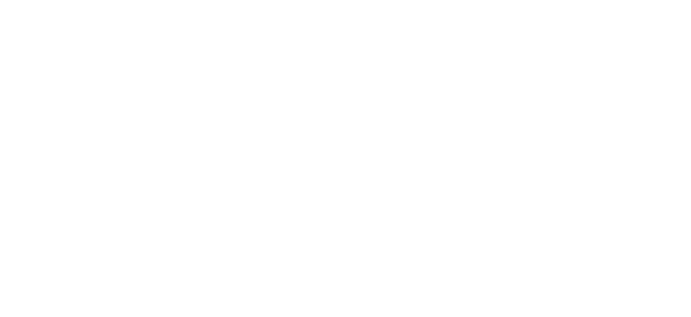 Laboratório Analisis