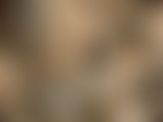 A Gritty Year for the Chesapeake Oyster