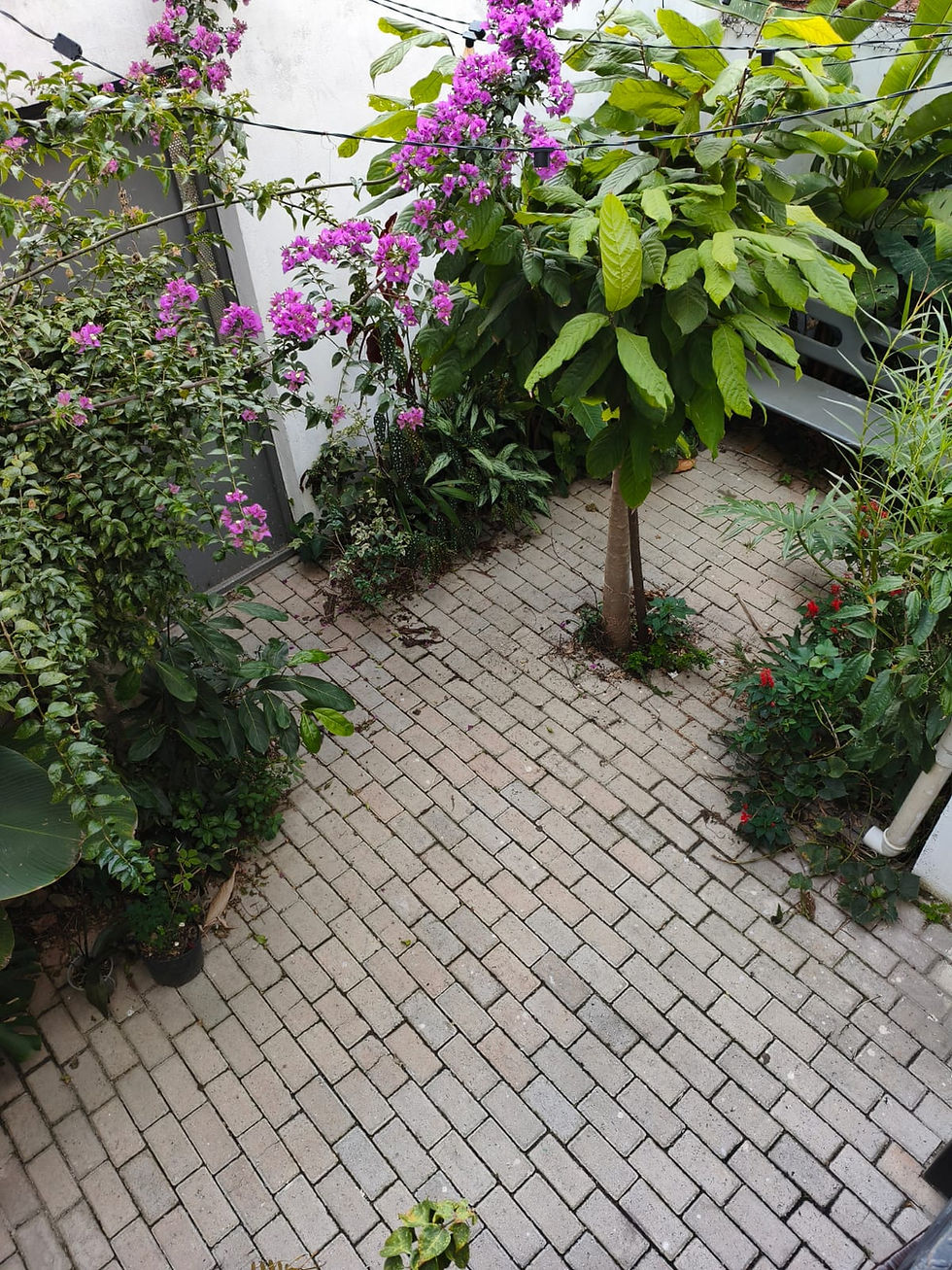 Vista do jardim