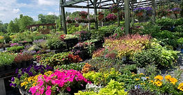 FFBA Participant Suzanne Balet-Haight of Balet Flowers & Design