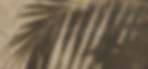 milin-extensions-background-3