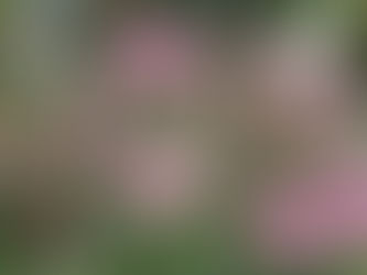 寒くなってきましたが・・・